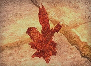 Call of Pripyat - Crystal