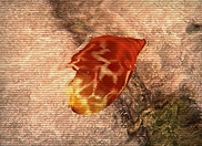 Call of Pripyat - Eye