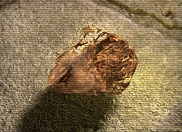 Call of Pripyat - Jellyfish
